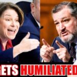 Pissed off Ted Cruz HUMILIATES hysterical Amy Klobuchar in front of the entire nation
